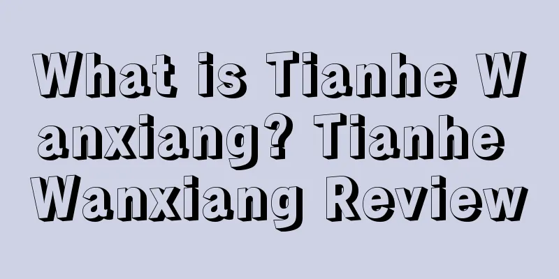What is Tianhe Wanxiang? Tianhe Wanxiang Review