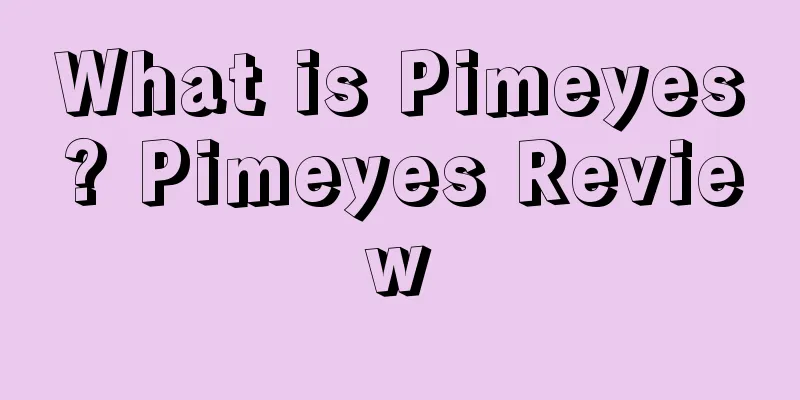 What is Pimeyes? Pimeyes Review