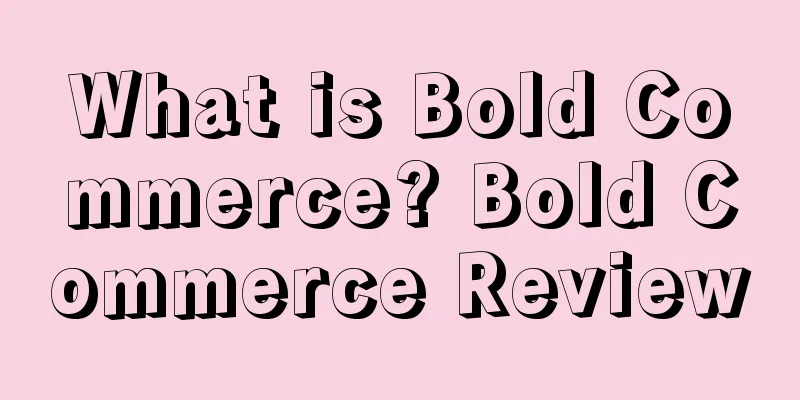 What is Bold Commerce? Bold Commerce Review