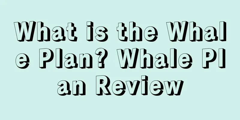 What is the Whale Plan? Whale Plan Review