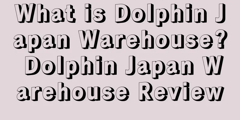 What is Dolphin Japan Warehouse? Dolphin Japan Warehouse Review