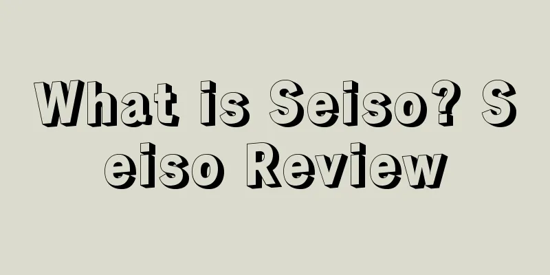 What is Seiso? Seiso Review