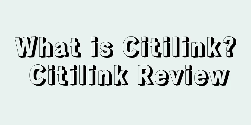 What is Citilink? Citilink Review