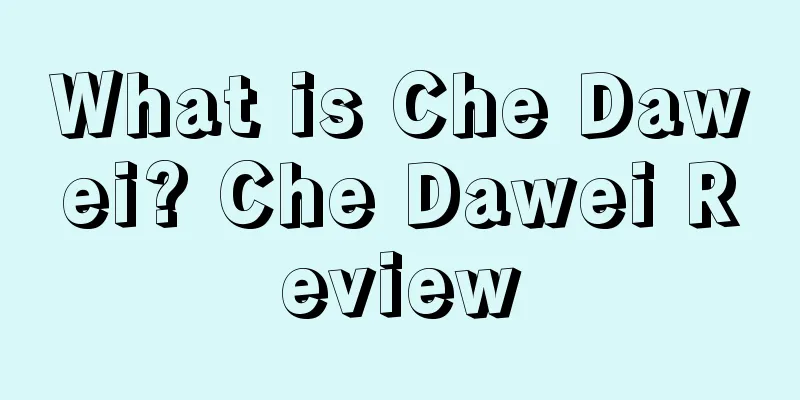 What is Che Dawei? Che Dawei Review