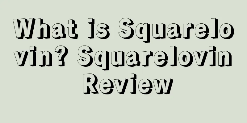 What is Squarelovin? Squarelovin Review