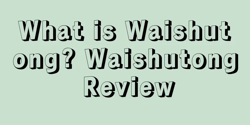 What is Waishutong? Waishutong Review