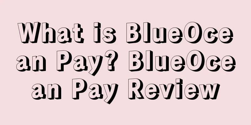 What is BlueOcean Pay? BlueOcean Pay Review