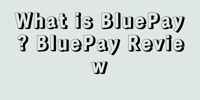 What is BluePay? BluePay Review
