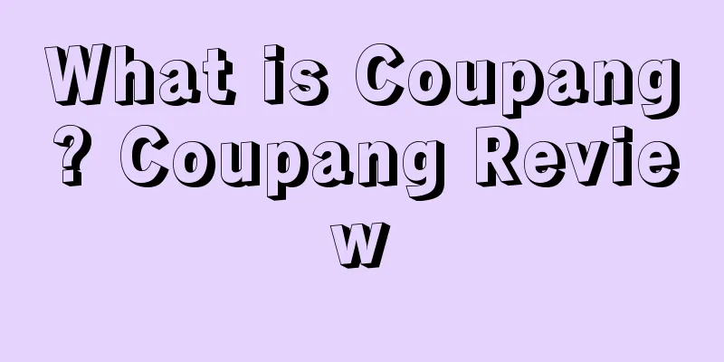 What is Coupang? Coupang Review