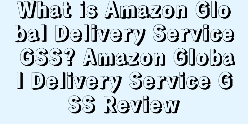 What is Amazon Global Delivery Service GSS? Amazon Global Delivery Service GSS Review