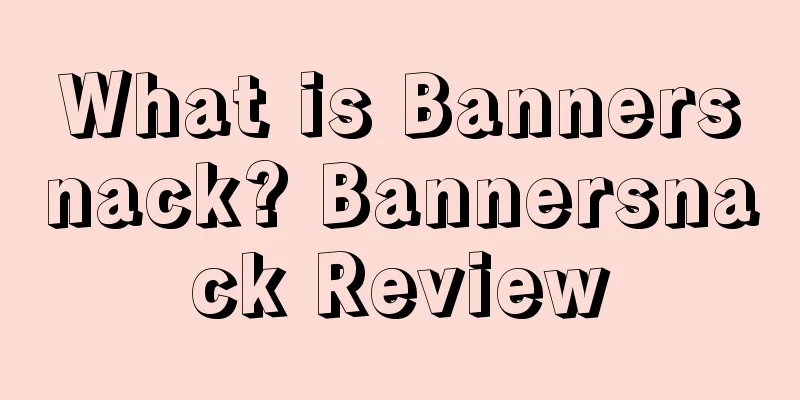 What is Bannersnack? Bannersnack Review