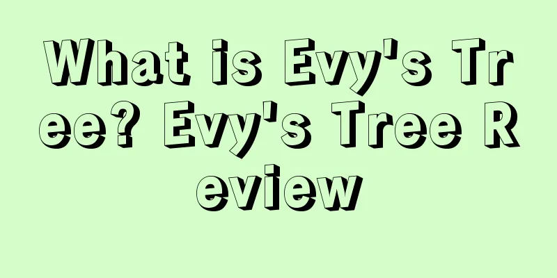 What is Evy's Tree? Evy's Tree Review
