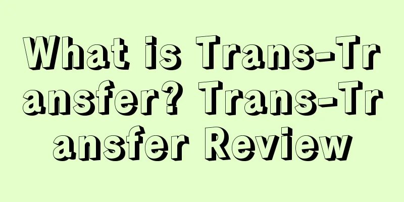 What is Trans-Transfer? Trans-Transfer Review