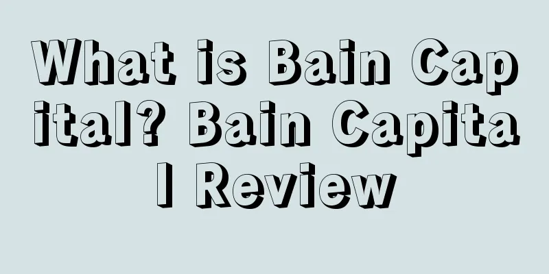 What is Bain Capital? Bain Capital Review