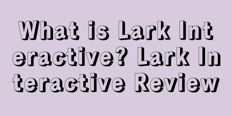 What is Lark Interactive? Lark Interactive Review