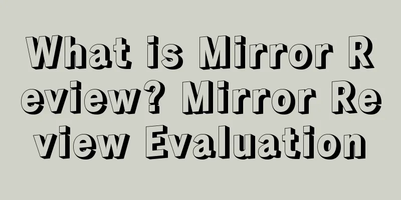 What is Mirror Review? Mirror Review Evaluation