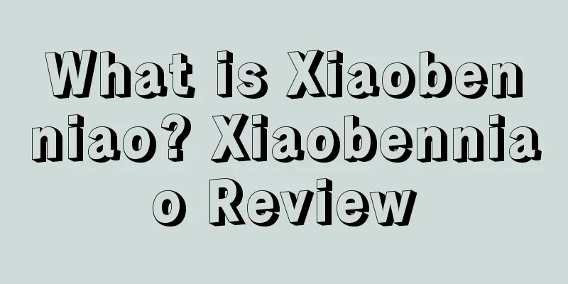 What is Xiaobenniao? Xiaobenniao Review
