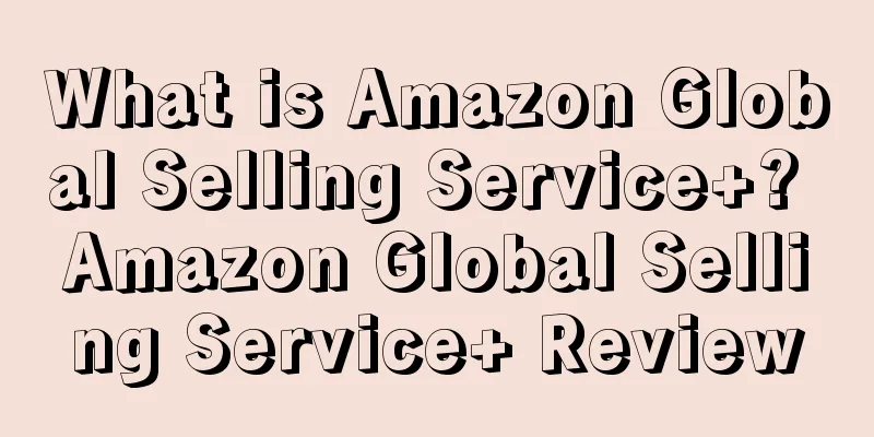 What is Amazon Global Selling Service+? Amazon Global Selling Service+ Review