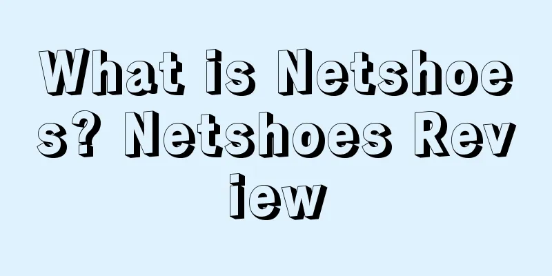 What is Netshoes? Netshoes Review