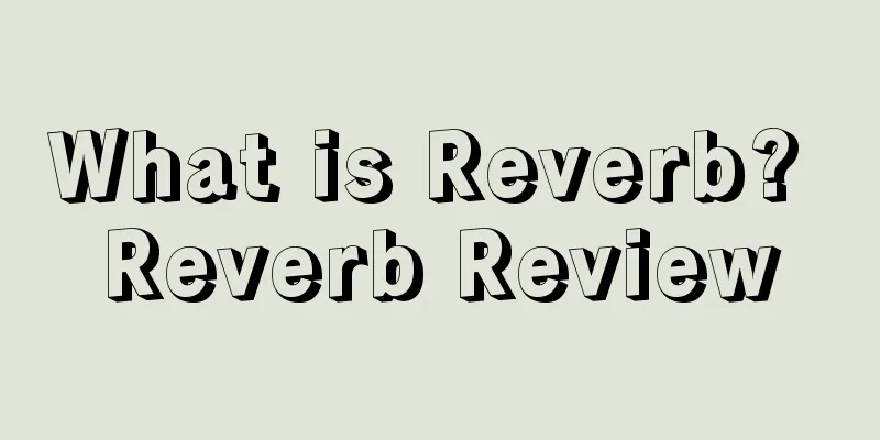 What is Reverb? Reverb Review