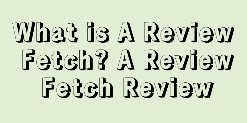 What is A Review Fetch? A Review Fetch Review