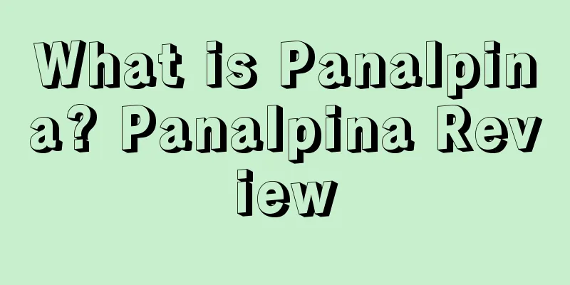 What is Panalpina? Panalpina Review