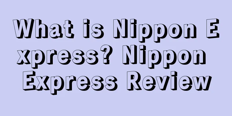 What is Nippon Express? Nippon Express Review