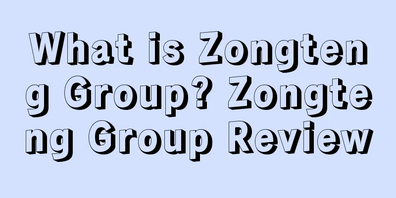 What is Zongteng Group? Zongteng Group Review