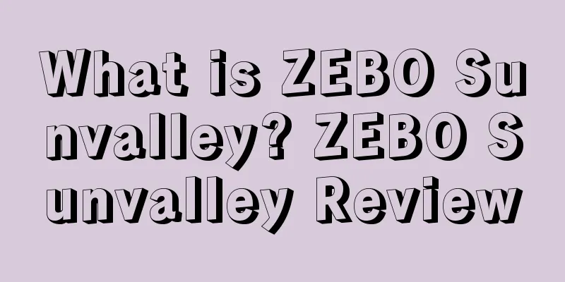 What is ZEBO Sunvalley? ZEBO Sunvalley Review