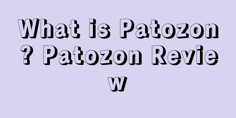 What is Patozon? Patozon Review