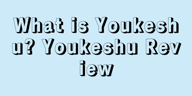 What is Youkeshu? Youkeshu Review