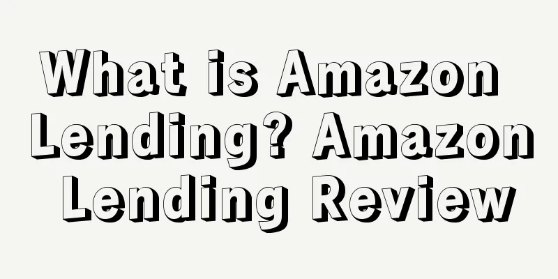What is Amazon Lending? Amazon Lending Review