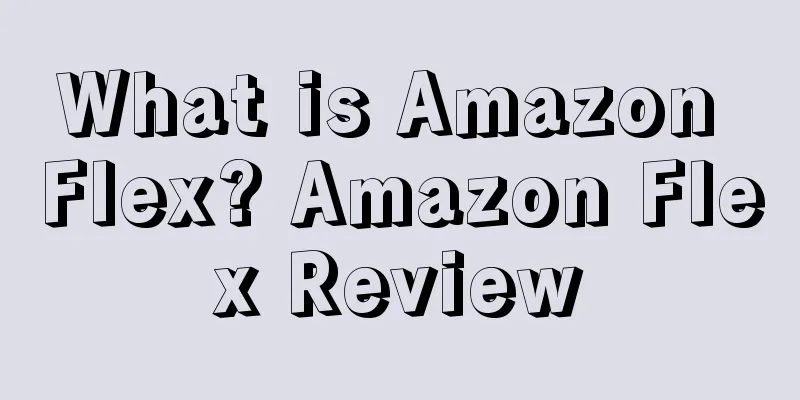 What is Amazon Flex? Amazon Flex Review