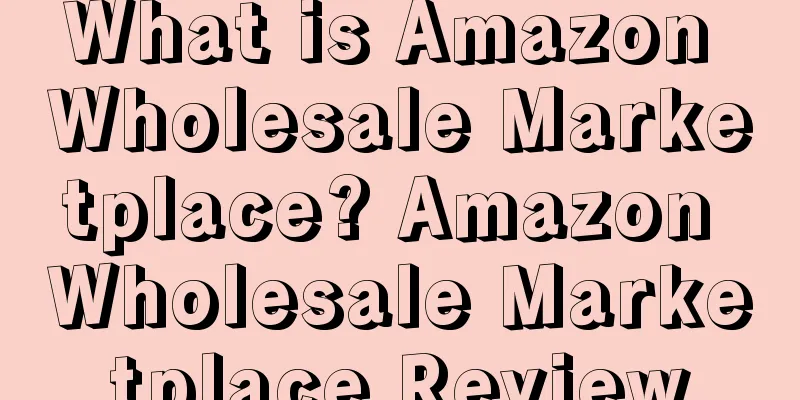 What is Amazon Wholesale Marketplace? Amazon Wholesale Marketplace Review