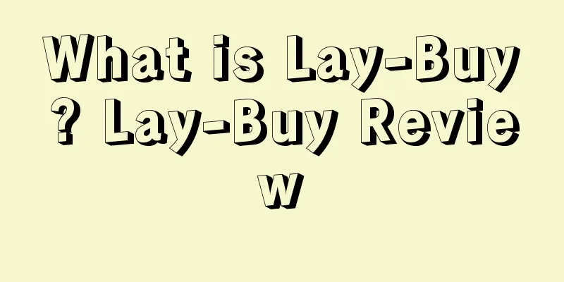 What is Lay-Buy? Lay-Buy Review
