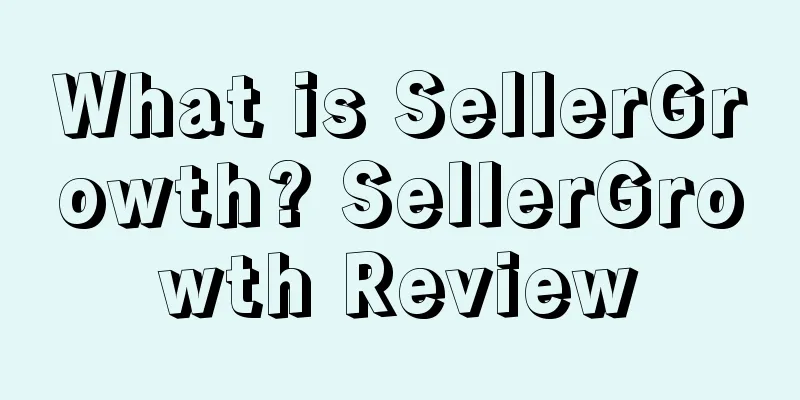 What is SellerGrowth? SellerGrowth Review