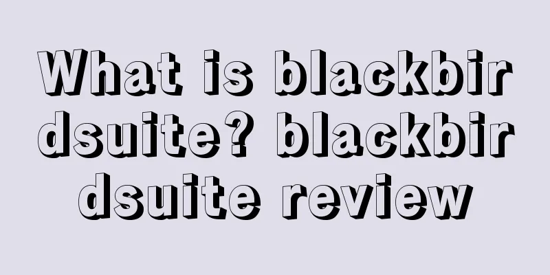 What is blackbirdsuite? blackbirdsuite review