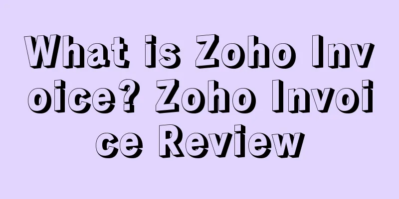 What is Zoho Invoice? Zoho Invoice Review