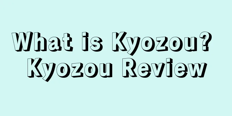 What is Kyozou? Kyozou Review