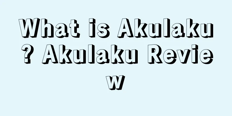 What is Akulaku? Akulaku Review