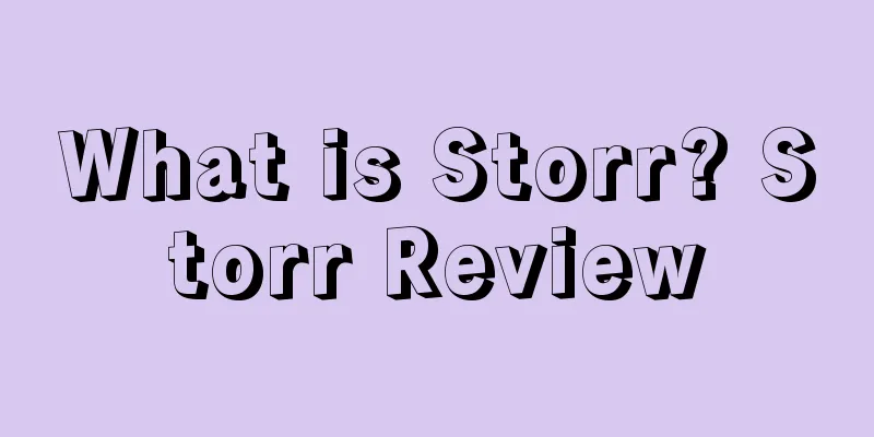 What is Storr? Storr Review