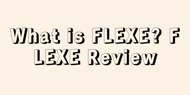 What is FLEXE? FLEXE Review