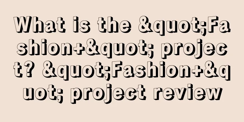 What is the "Fashion+" project? "Fashion+" project review