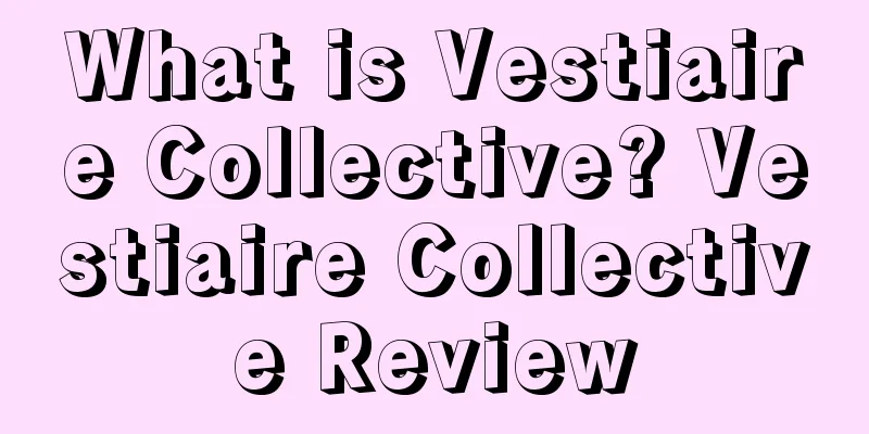 What is Vestiaire Collective? Vestiaire Collective Review