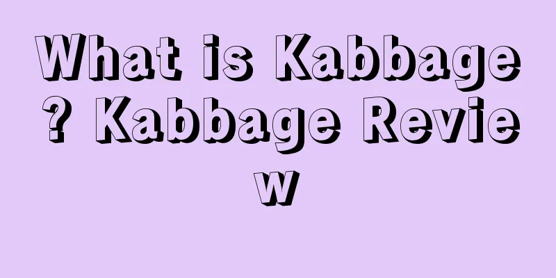 What is Kabbage? Kabbage Review