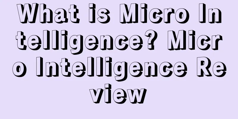 What is Micro Intelligence? Micro Intelligence Review