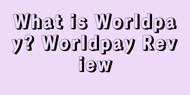 What is Worldpay? Worldpay Review