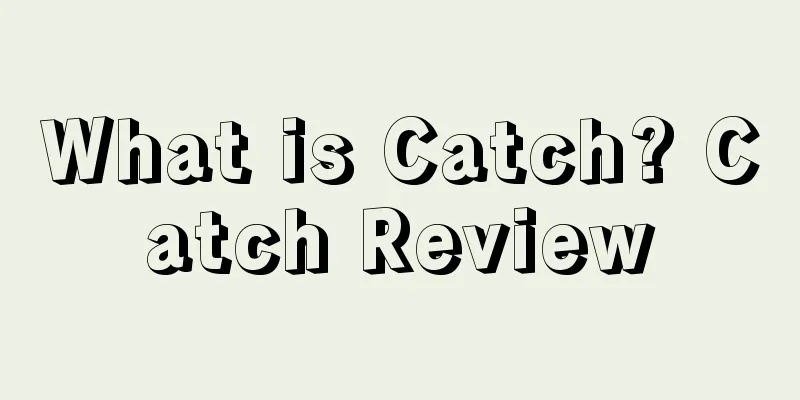 What is Catch? Catch Review