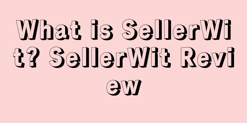 What is SellerWit? SellerWit Review