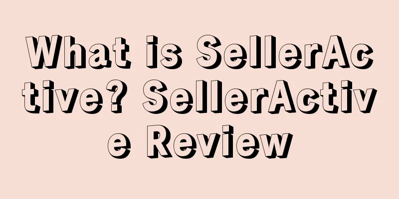 What is SellerActive? SellerActive Review